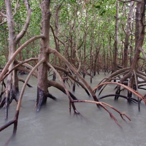 East Point Reserve, Darwin, Australia © Emma Jones | Dreamstime 44000047