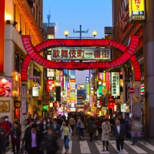 Kabukicho Gate, Shinjuku, Tokyo, Japan © Natalia Pushchina | Dreamstime 35814743