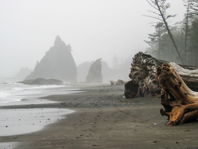 Olympic National Park, Washington © Jiashiang | Flickr