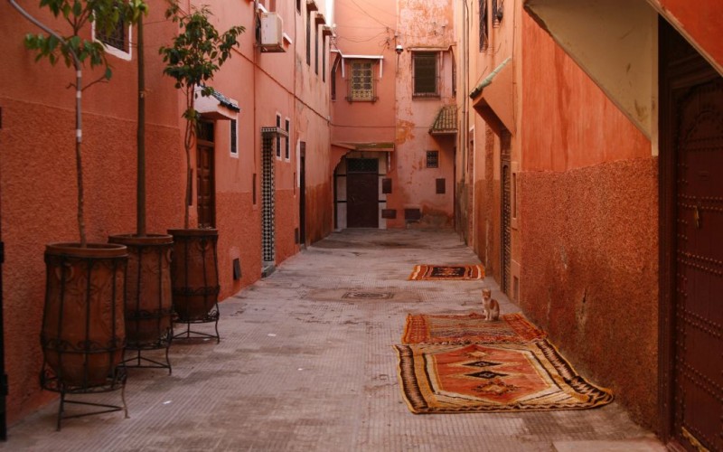 Pink Houses of Old Town Medina, Marrakech, Morocco © Ragne Kabanova | Dreamstime 10855329