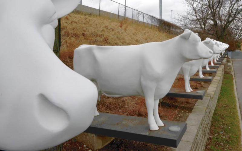Cow Statues of Kopp's Frozen Custard Stand in Milwaukee, Wisconsin © Centrilobular | Flickr