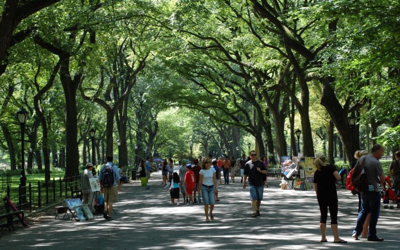 Poet's Walk, Central Park, New York City © Julie Feinstein | Dreamstime 20960566