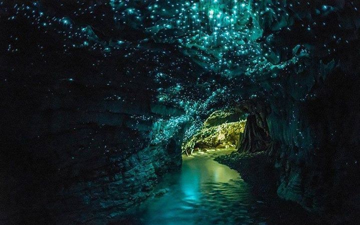 Waitomo Glowworm Caves of New Zealand © 2il org | Flickr
