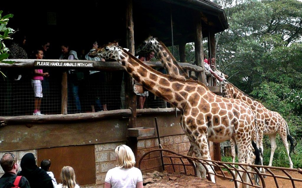 Giraffe Manor, Nairobi, Kenya © Eduardo Zarate | Flickr