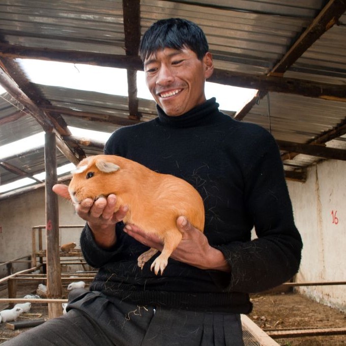 Guinea Pig Farmer, Peru © Dubes Sonego Junior | Dreamstime 54283333