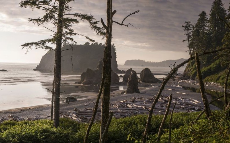 Ruby Beach, Olympic National Park, Washington State © Jason Kolenda | Dreamstime 31907772