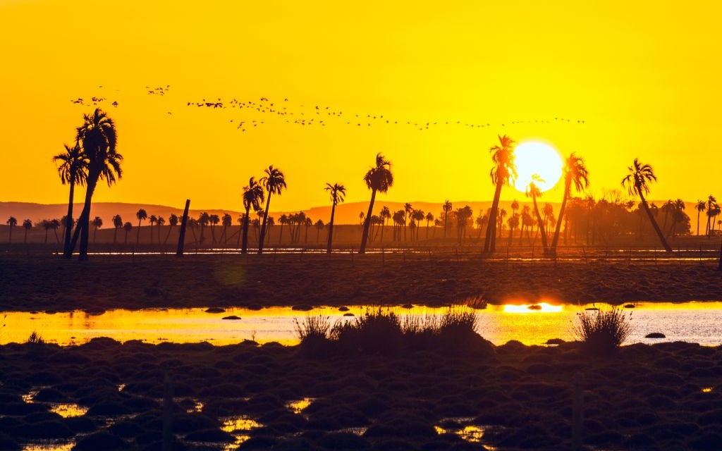 Rocha, Uruguay © Kseniya Ragozina | Dreamstime 40307754