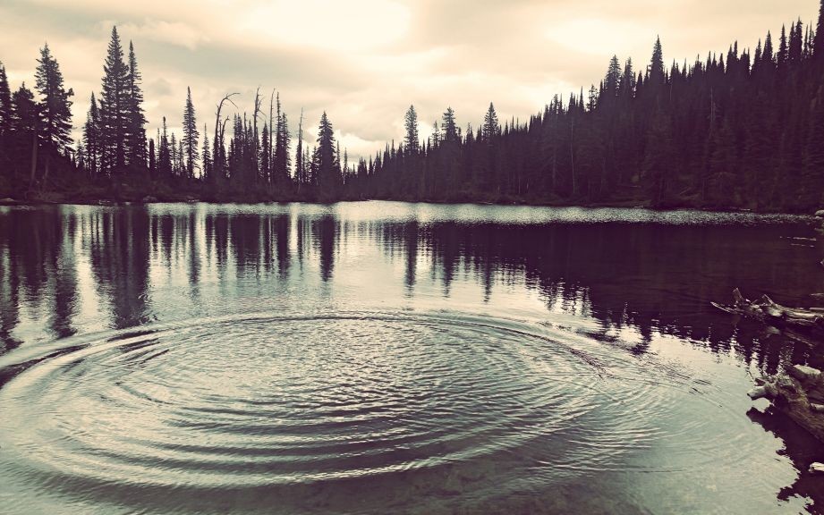 Flathead Lake, Montana © Morgan Caldbeck | Dreamstime 45854031
