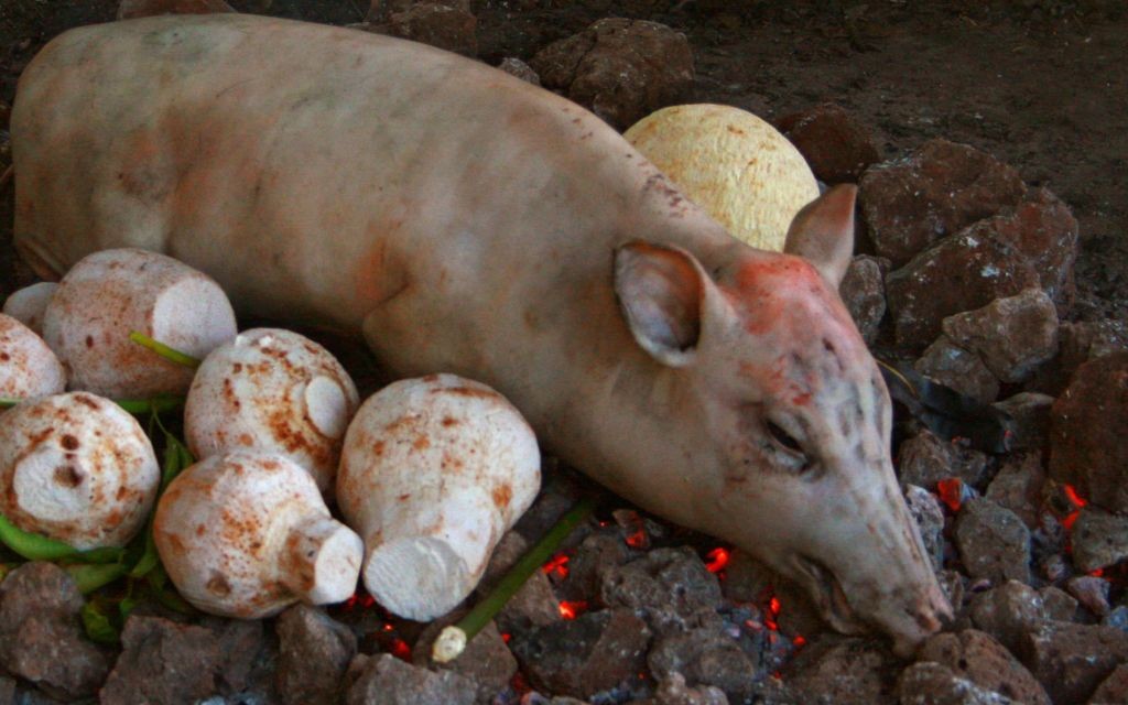 Umu Pork, Samoa © Neils Photography | Flickr