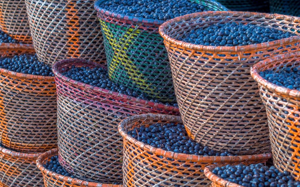 Baskets of Acai Berries © Tony1 | Dreamstime