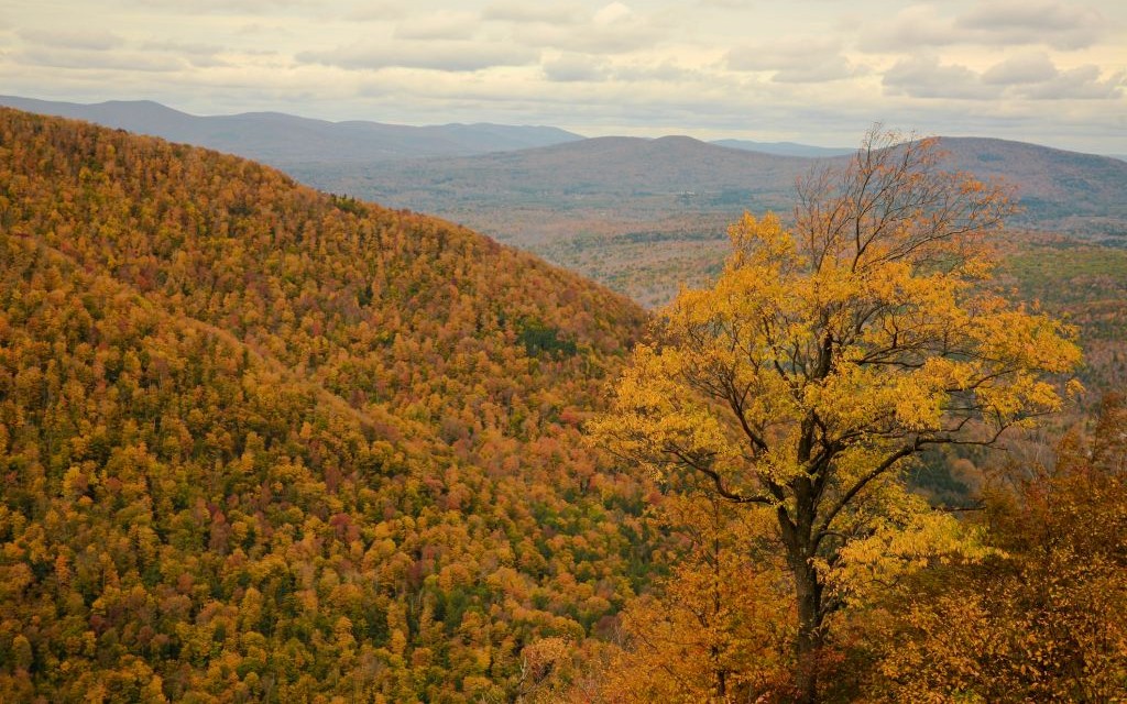 Catskill Mountains, New York © Lev Akhsanov | Dreamstime 27152623