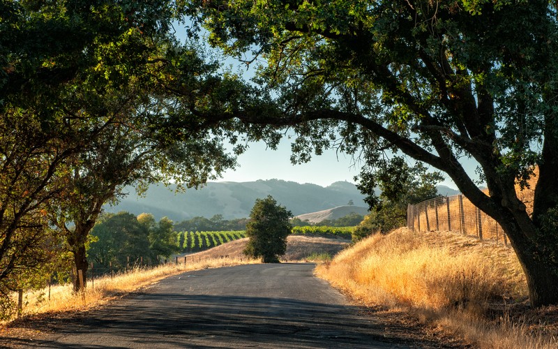 Sonoma Wine Country © Rolf52 | Dreamstime