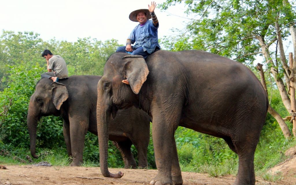 Elephant Village, Luang Prabang, Laos © Ross Huggett | Flickr