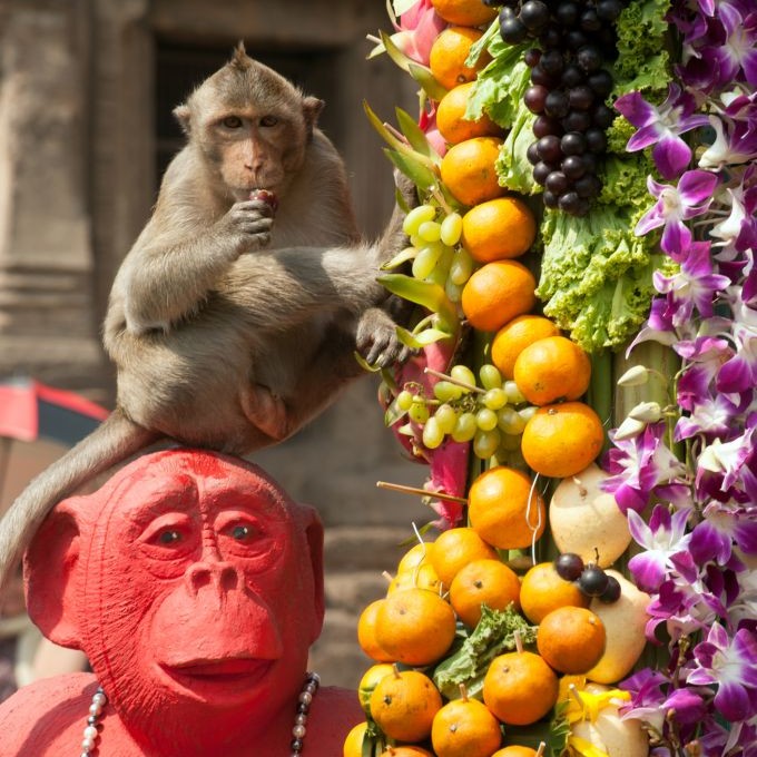 Visiting Thailand's Monkey Buffet Festival - Trazee Travel