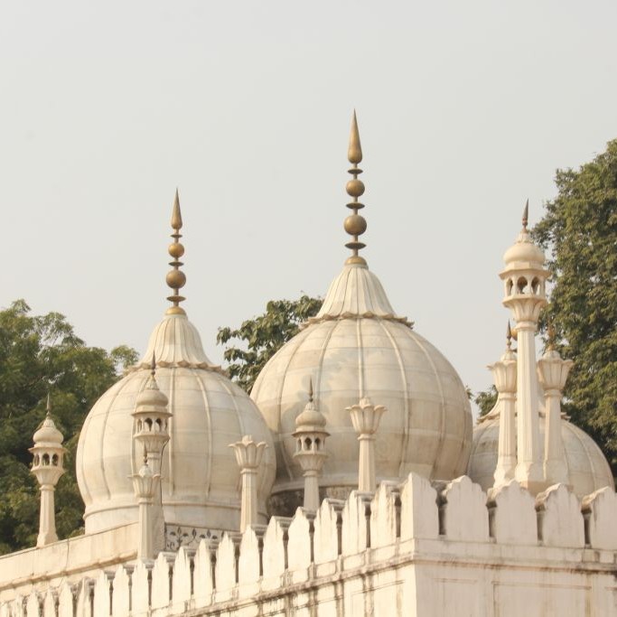 Moti Masjid, Bhopal, India © Greta Gabaglio | Dreamstime 47600036