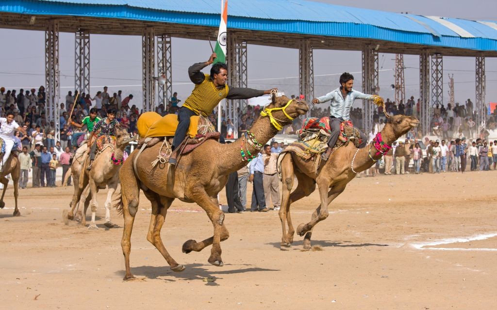 Pushkar Camel Fair, Rajasthan, India © Oleg Doroshenko | Dreamstime 27822572