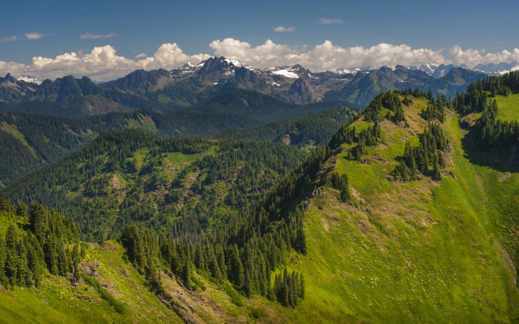 Sauk Mountain, Washington State © Edmund Lowe | Dreamstime 56210816
