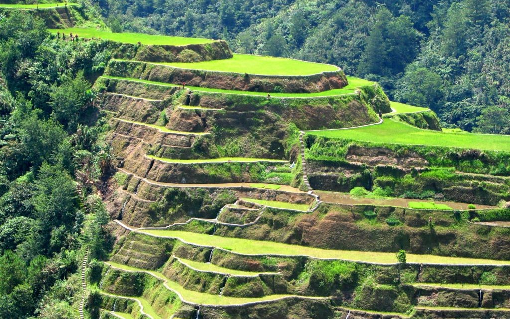 Rice Terraces of Banaue, Philippines © Jonald John Morales | Dreamstime 2513753