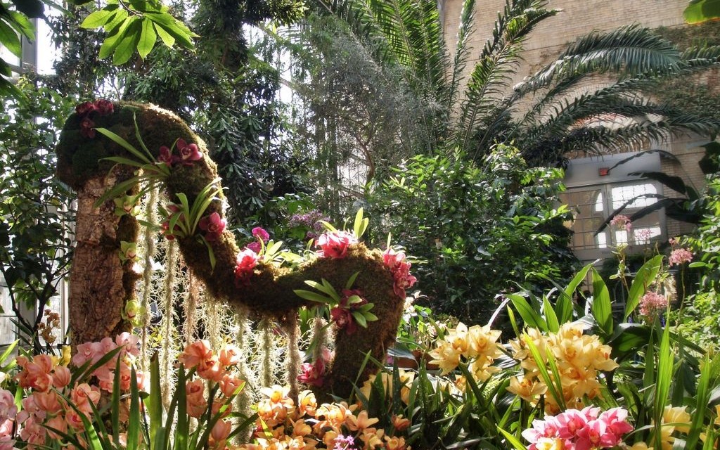 United States Botanic Garden, Washington, D.C. © Michael S | Flickr