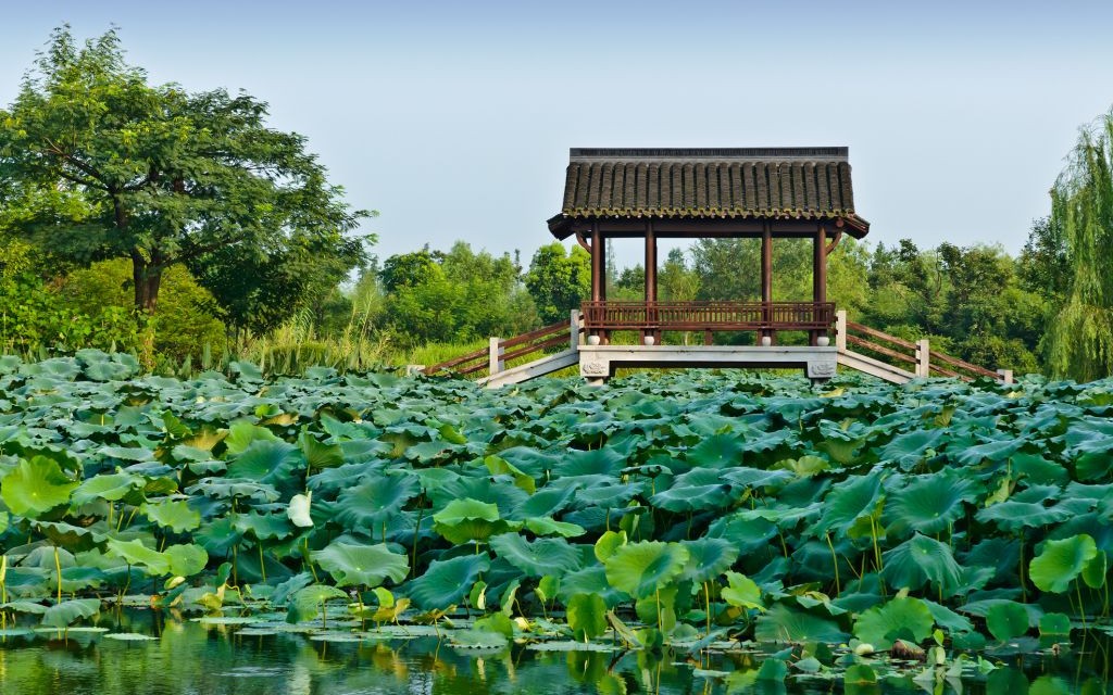 Xixi National Wetland Park, Hangzhou, China © Zhaojiankang | Dreamstime 36147919