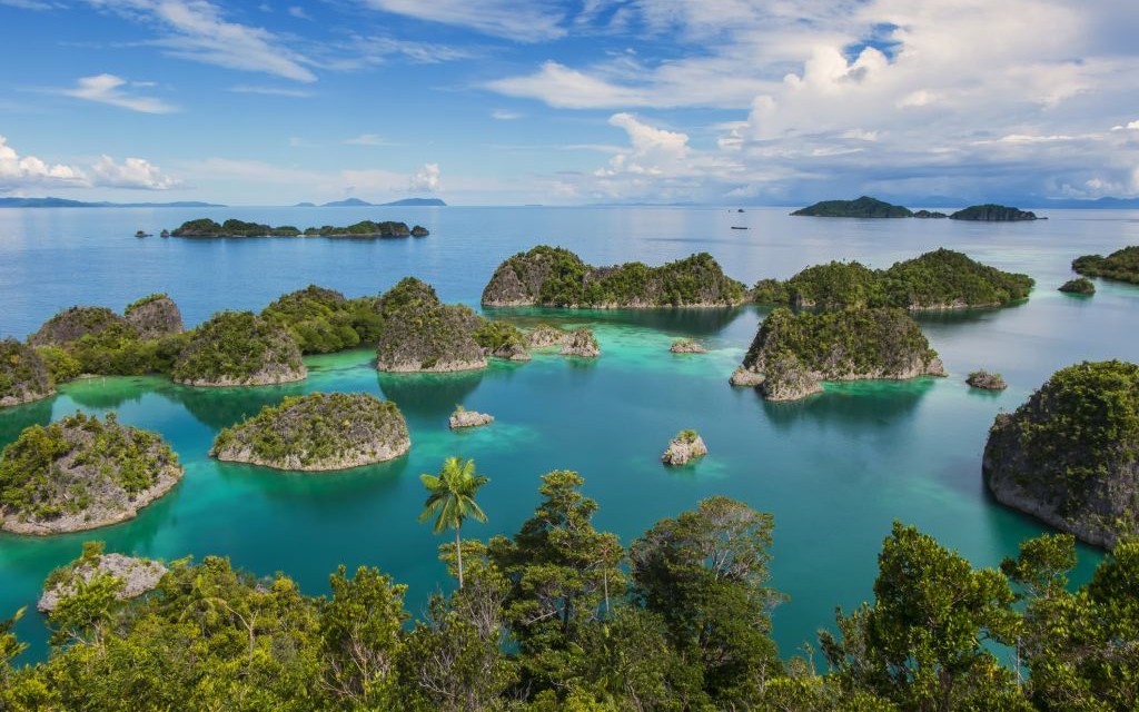 Raja Ampat, Indonesia © Dodi Sandradi | Dreamstime 50353357