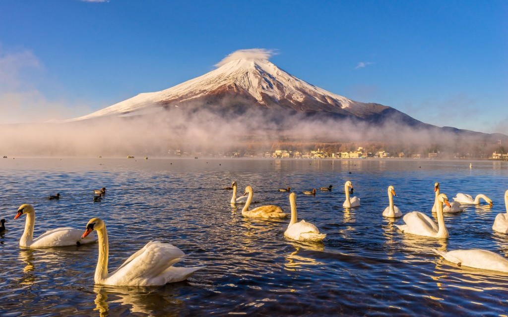 Mount Fuji from Lake Yamanaka, Japan © Luciano Mortula | Dreamstime 49069160