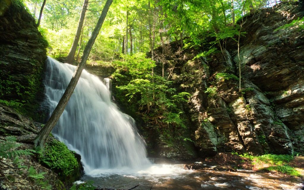 Bushkill Falls, Pennsylvania © Abarboiu | Dreamstime 53582355