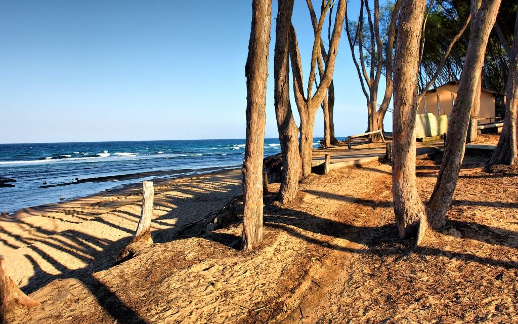 Sodwana Bay, South Africa © Photosky | Dreamstime 29714354