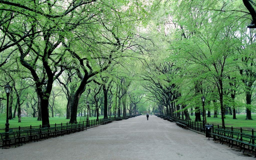 Spring Morning in Central Park, New York City © Graemes | Dreamstime 17817321