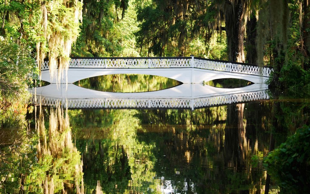 Long White Bridge, Magnolia Plantations, Charleston, South Carolina © Kimberly Lewis | Dreamstime 54609380