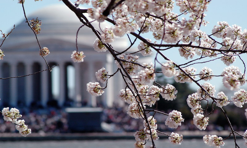 springtime travel