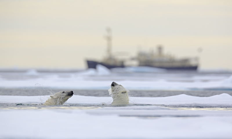 Svalbard