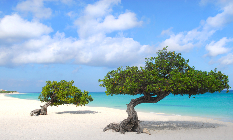 Aruba’s Eagle Beach