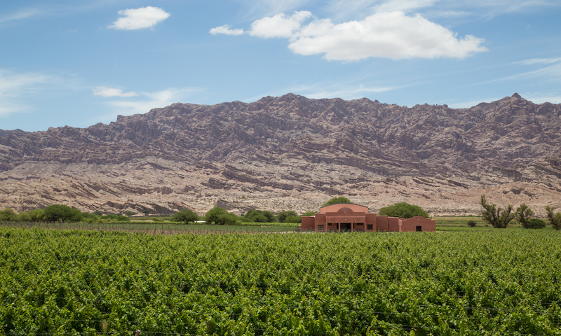 Bodega El Cese