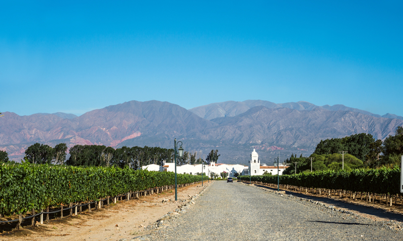 Bodega El Esteco