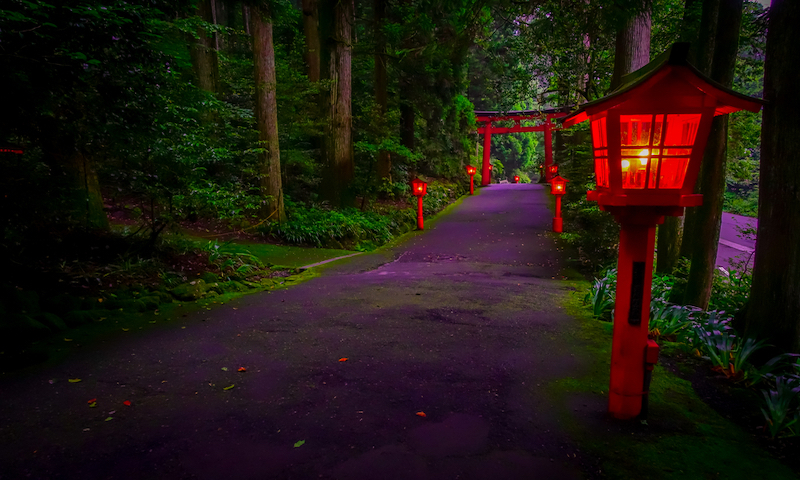 The night view of the approach to the Hakone shrine in a cedar forest. With many red lantern lighted up and a great red torii gate