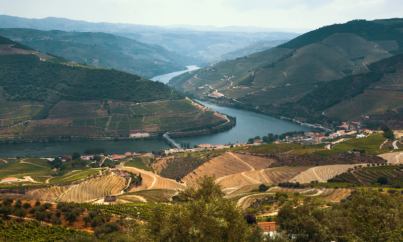 Douro Valley