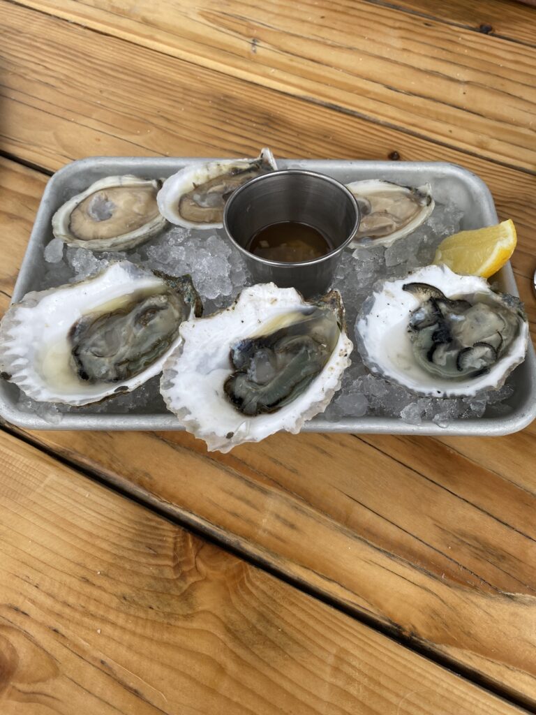 Oysters