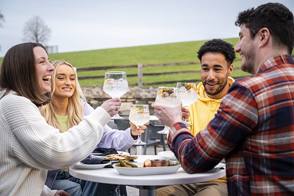 Gin distillery tour, County Down