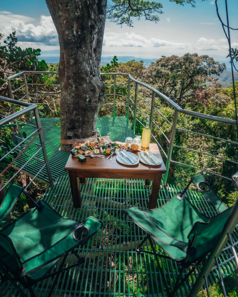 SAVIA canopy