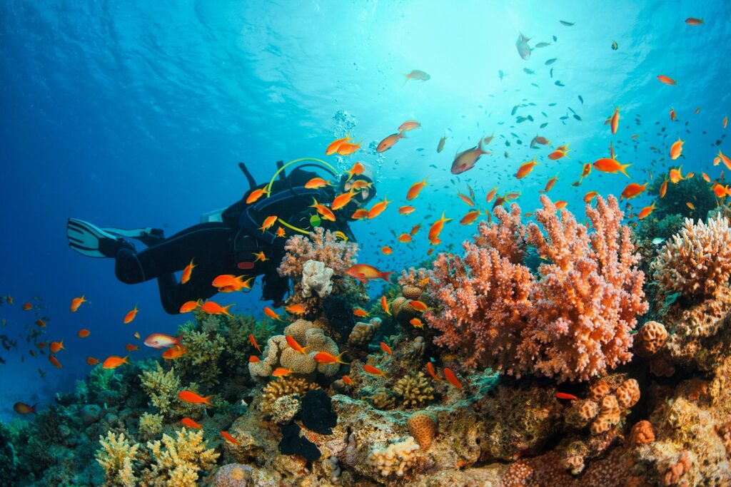 scuba diving