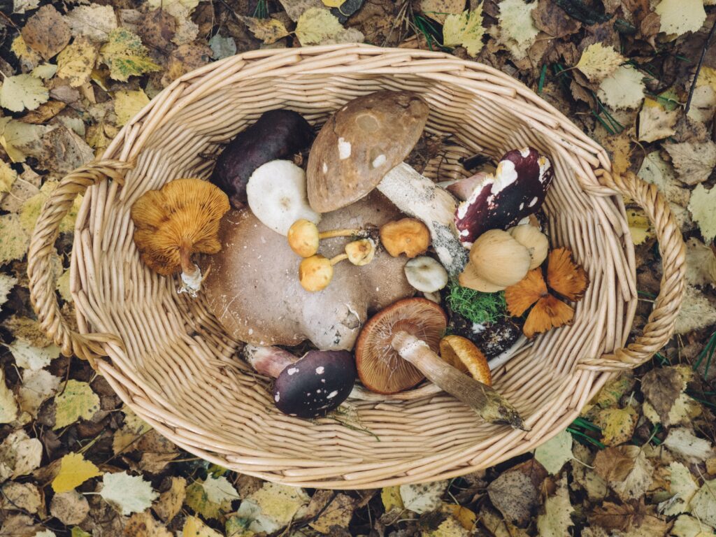 mushrooms