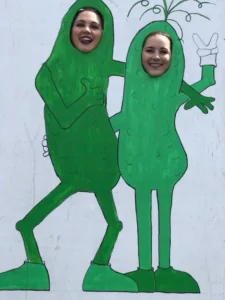 cut outs