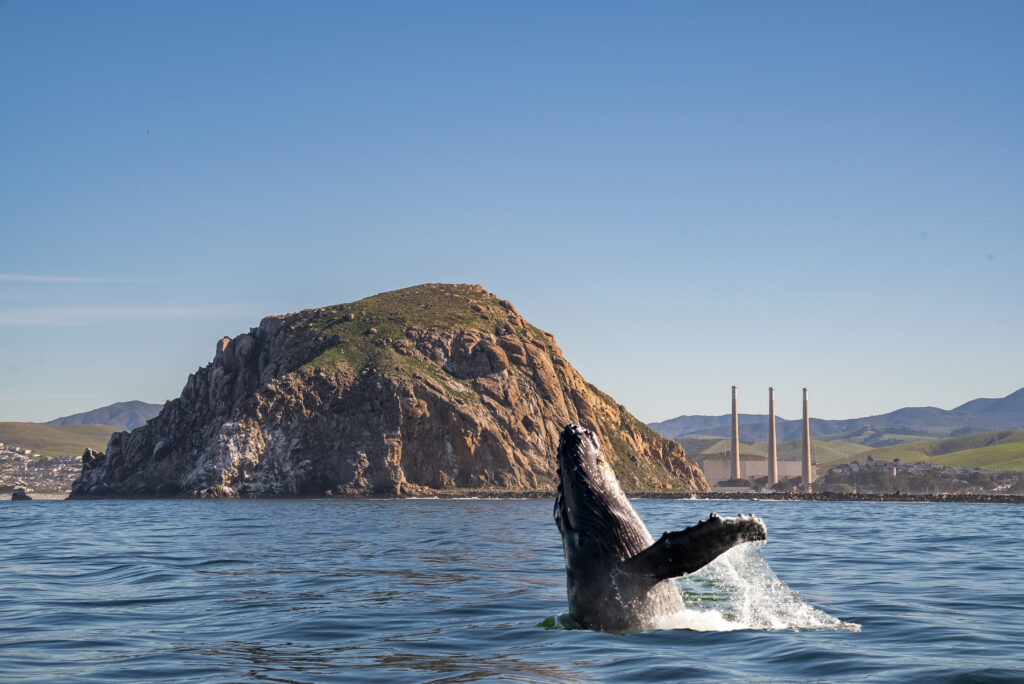 Morro Bay