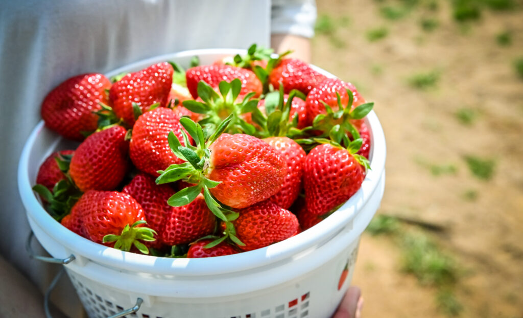 strawberries